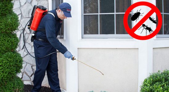 Bayraklı Bit İlaçlama böcek ilaçlama ve haşere kontrolü — ilaclama-tr.com